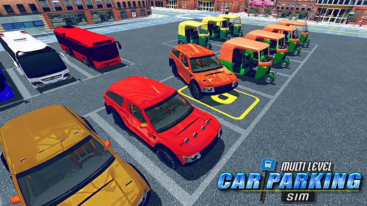 Multilevel Car Parking Sim
