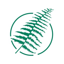 Fern Software