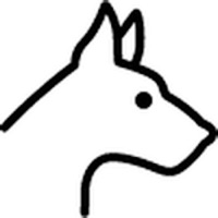 Dog Breeds Recognition by AI