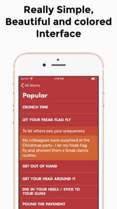 English Idioms App screenshot 4