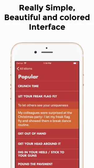 Captura de pantalla de English Idioms App en iPhone 4