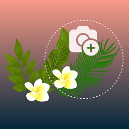 Ai识植-拍照识别花草树木