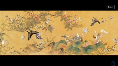 Flower and bird Screenshot