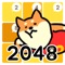 Enjoy 2048 with a cute puppy