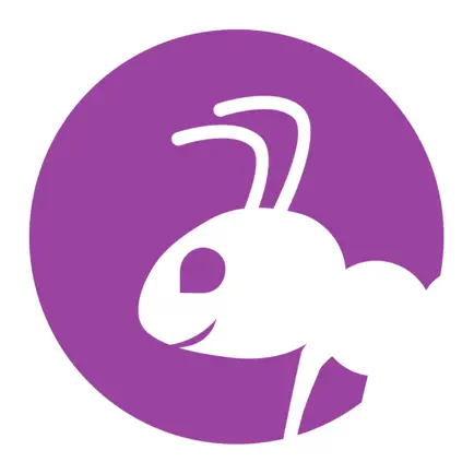 Socilant Читы