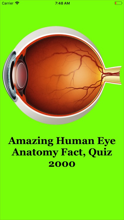 Human Eye Anatomy Fact,Quiz 2k