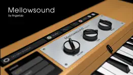 mellowsound problems & solutions and troubleshooting guide - 4
