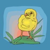 Chicken Chick Emojis icon