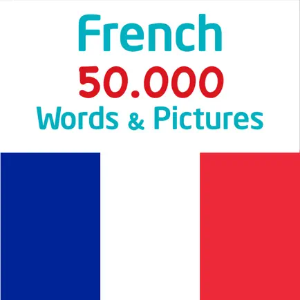 50.000 - Learn French Cheats