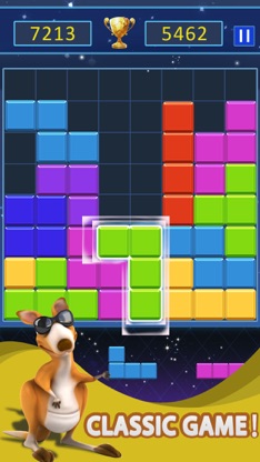 Block Puzzle Jigsaw screenshot 3