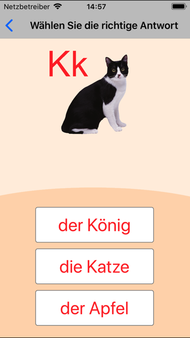 German Alphabet Learning Cards Screenshot