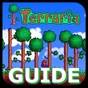Guide & Wiki for Terraria app download