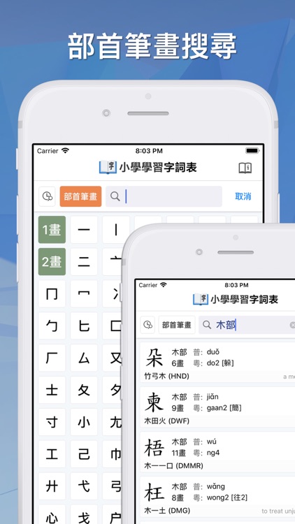 Elementary Chinese Dictionary screenshot-4