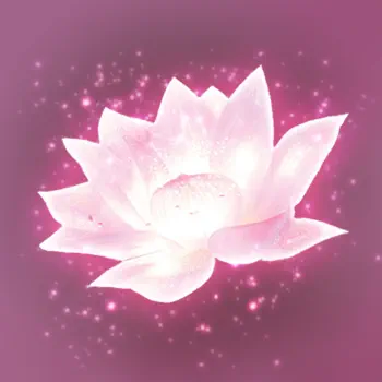 Lotus Digital Customer Service