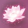 Lotus Digital app icon - Games app for iPhone