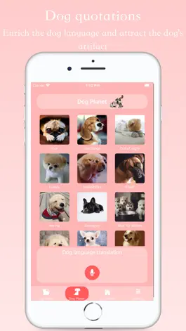 Game screenshot Talking Pets - Cat & Dog apk