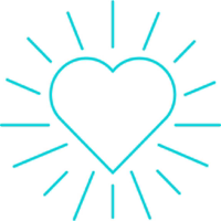 ProMotion DFC Video Vault