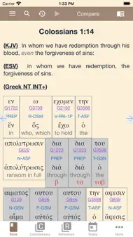 E-Sword LT: Bible Study To Go iphone bilder 4