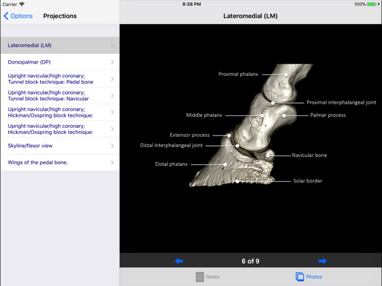 Equine Radiography iPad app afbeelding 3