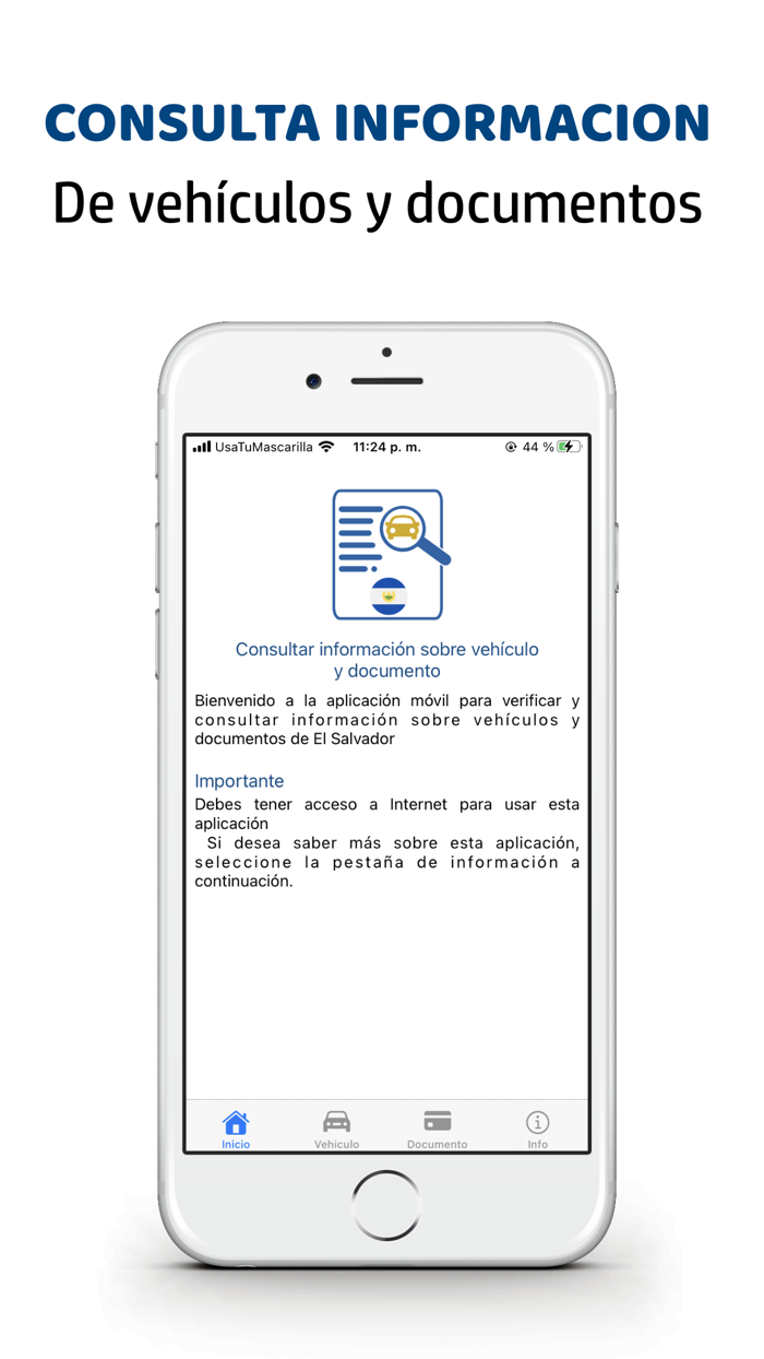 Consulta Información vehículo