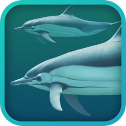 Ícone do app Dolphins 3D