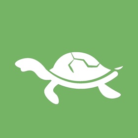 螢幕擷取畫面 (8) The Party Turtle