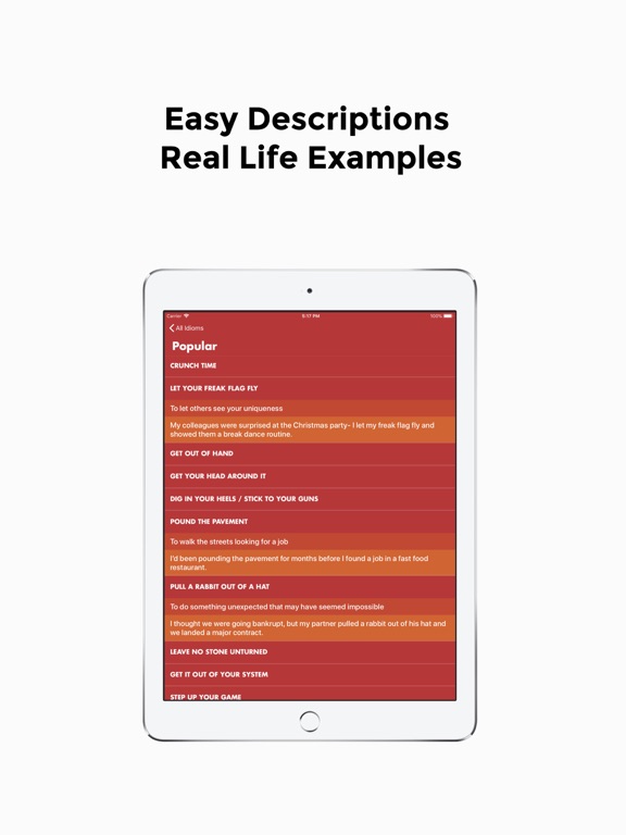 Screenshot #5 pour English Idioms App