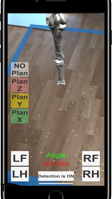 Screenshot #3 pour AR Horses Xrays Helper
