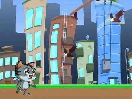 City Cat Running Street