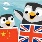 LinguPinguin English Chinese App Contact