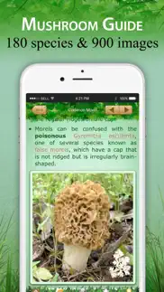 mushroom book & identification iphone screenshot 2