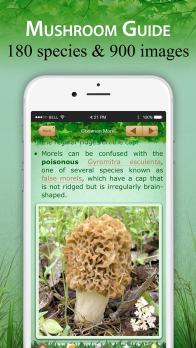 Mushroom Book & Identification Screenshot