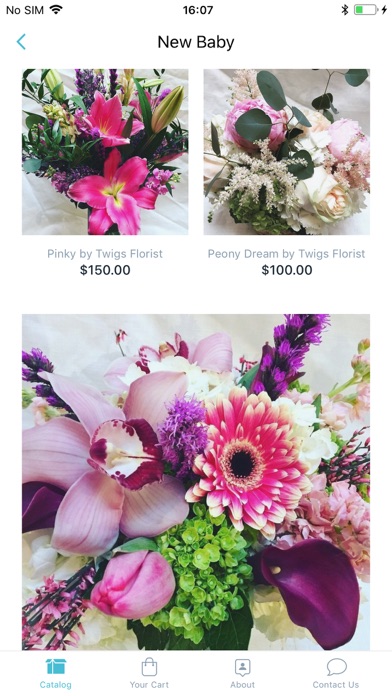 Twigs Florist screenshot 2