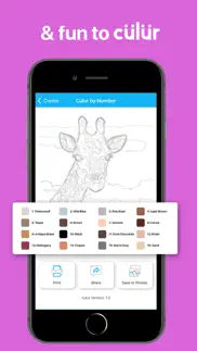 culur: custom color by number iphone screenshot 4