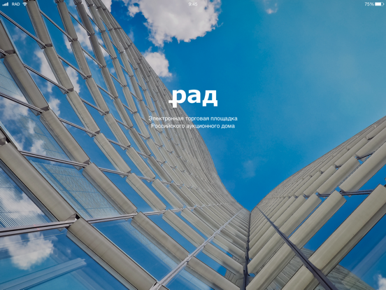 Screenshot #4 pour РАД Залоги