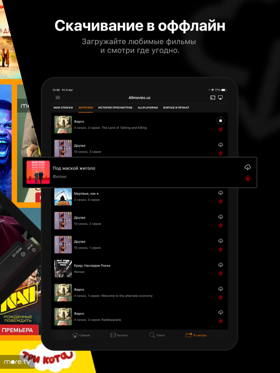 Screenshot #5 pour Allplay