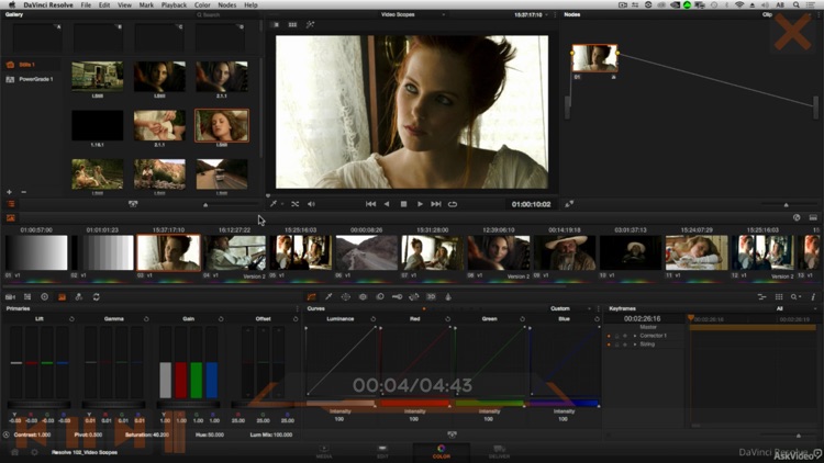 Color Page and Video Scopes screenshot-3