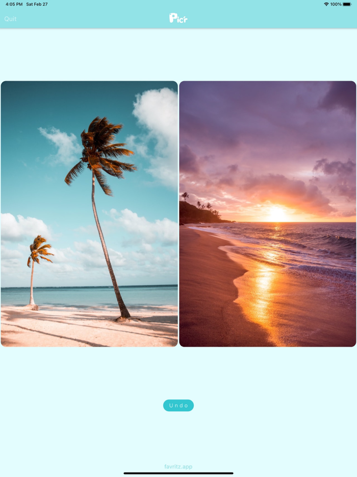 Picr Photo Sorting Tool