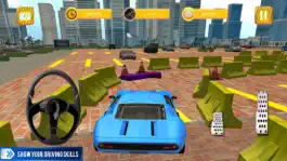 Game screenshot Skill Parking: School Driving apk
