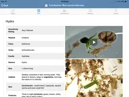 Game screenshot Freshwater Macro Invertebrates hack