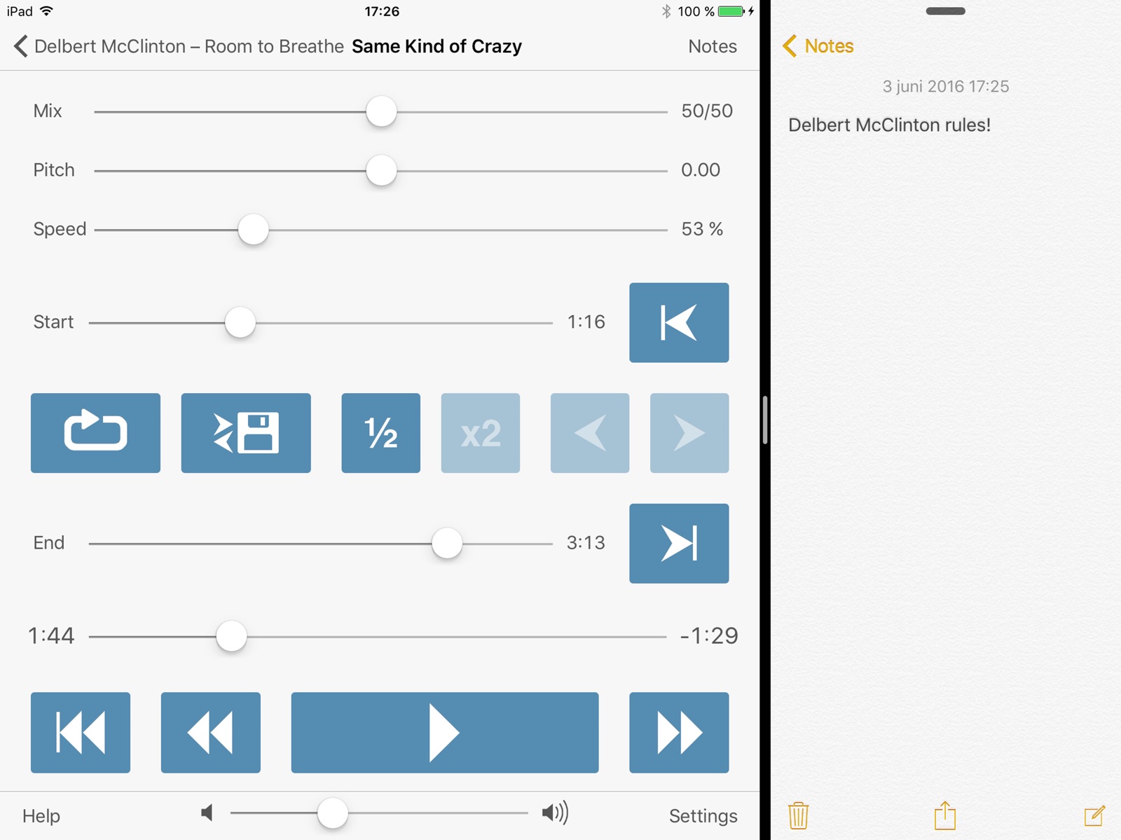 Amazing Slow Downer Lite ipad screenshot 4