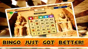 Big Win Casino Bingo Card Game screenshot 2