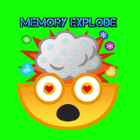 Memory Explode - Are U stupid