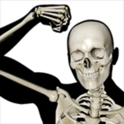 Bone (ボーン) Читы