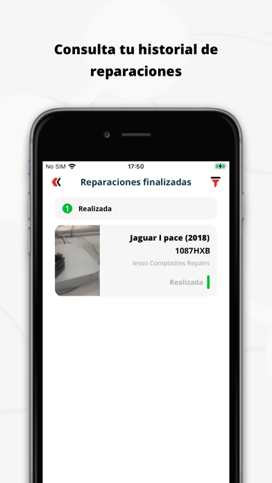Iesso Composites Repairs Screenshot