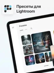 Пресеты Лайтрум lr: presetium айпад изображения 1