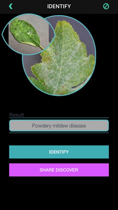 Plants Diseases Identifierのおすすめ画像10