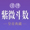 Icon 紫薇斗数-紫微斗数八字算命