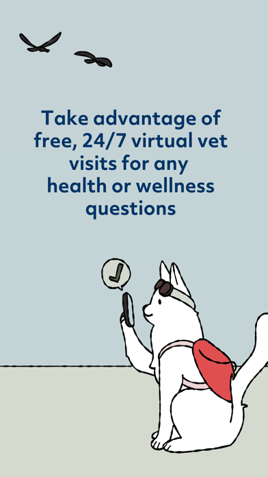 Rainwalk Pet Insurance Screenshot