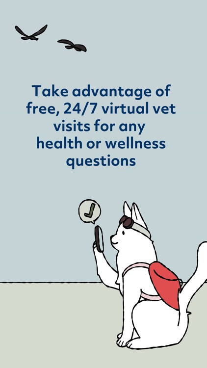 Rainwalk Pet Insurance screenshot-3